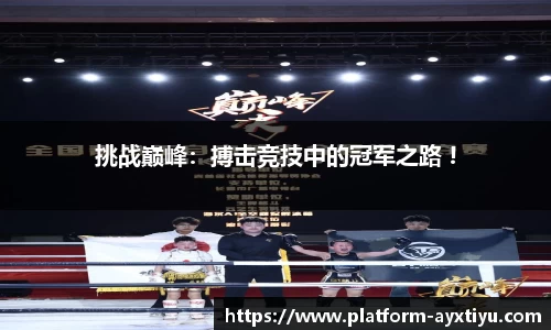 爱游戏ayx